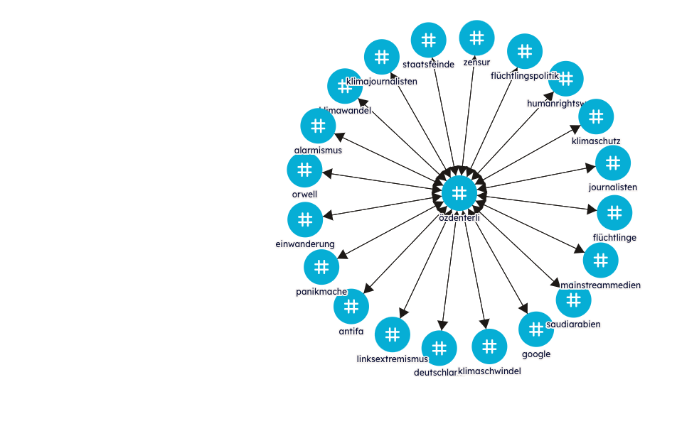 The first step: The 20 terms most frequently associated with the name "Özden Terli" on the platforms examined. (Graphic: OpenMeasures)
